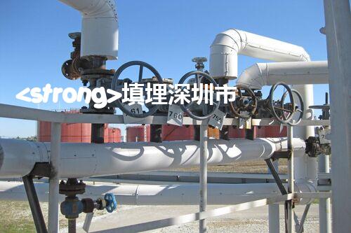 <strong>填埋深圳市危險廢物處理站有限公司化工設(shè)施安全解體：如何高效處理復(fù)雜工業(yè)遺留問題？</strong>